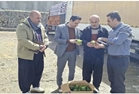صادرات ۹۶ هزار تنی محصولات کشاورزی از مرز سیرانبند بانه