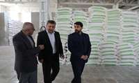 هیچ کمبودی در زمینه تامین آرد در کردستان وجود ندارد