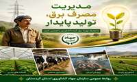 مدیریت مصرف برق ، تولید پایدار