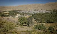 ۲ هزار هکتار برای توسعه باغات دیم در کردستان شناسایی شد