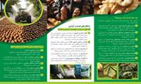 عوامل و راهکارهای پیشگیری از سیاه‌شدگی مغز گردو