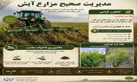 مدیریت هوشمند مزارع آیش کلید طلایی مهار علف‌های هرز و تضمین سودآوری