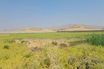 photo28496915442
