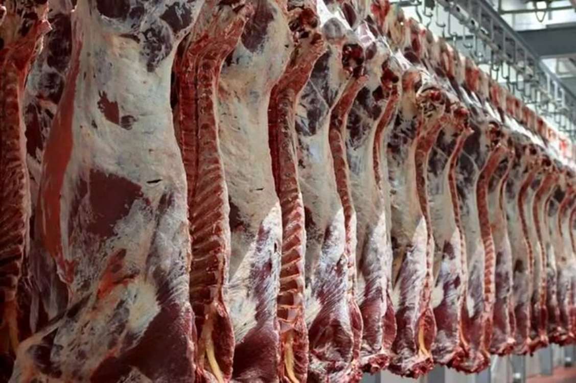 پیش‌بینی کاهش نیاز به واردات گوشت قرمز با بهبود تولید داخلی