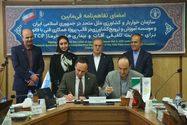 تفاهم‌نامه همکاری برای مدیریت تلفیقی آفات و بیماری‌های خرما امضا شد